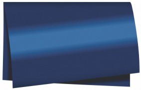 SUJINHO ALB LISO C/50 AZUL